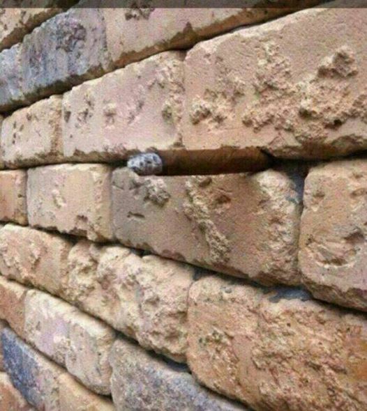 Que voyez-vous dans le mur ? 